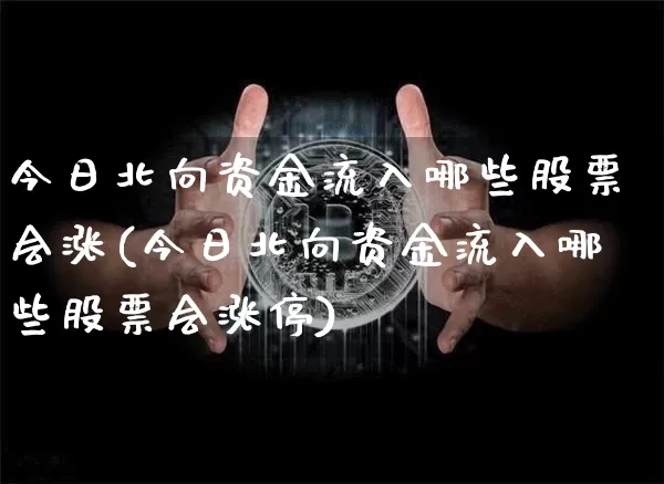 今日北向资金流入哪些股票会涨(今日北向资金流入哪些股票会涨停)_https://www.jyywjc.com_股票板块_第1张