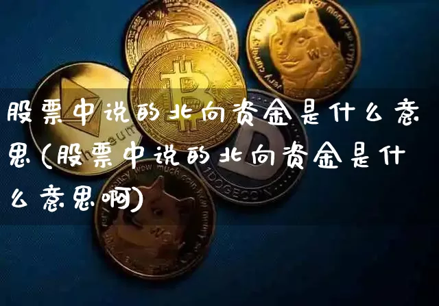 股票中说的北向资金是什么意思(股票中说的北向资金是什么意思啊)_https://www.jyywjc.com_股票行情_第1张