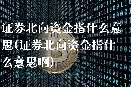 证券北向资金指什么意思(证券北向资金指什么意思啊)_https://www.jyywjc.com_股票趋势_第1张