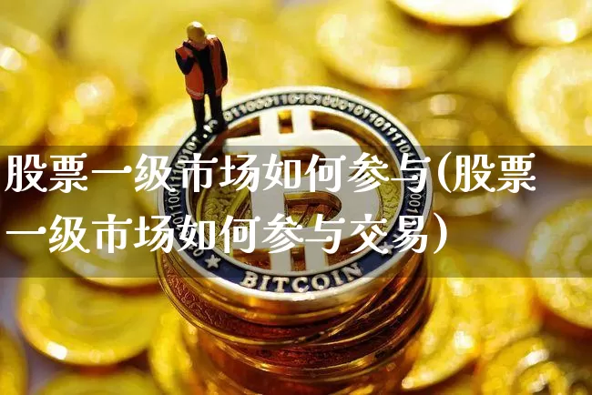 股票一级市场如何参与(股票一级市场如何参与交易)_https://www.jyywjc.com_科创板_第1张