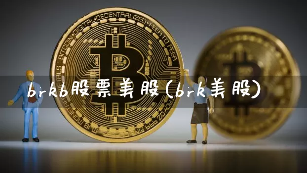 brkb股票美股(brk美股)_https://www.jyywjc.com_上交所_第1张