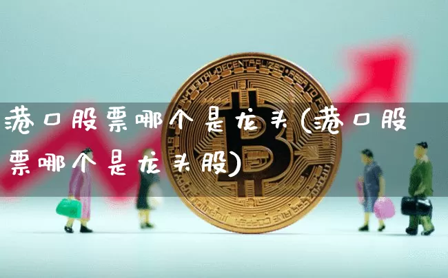 港口股票哪个是龙头(港口股票哪个是龙头股)_https://www.jyywjc.com_股票_第1张