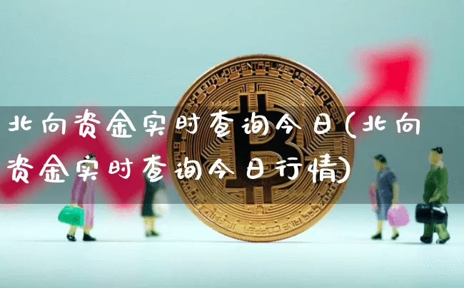 北向资金实时查询今日(北向资金实时查询今日行情)_https://www.jyywjc.com_股票趋势_第1张