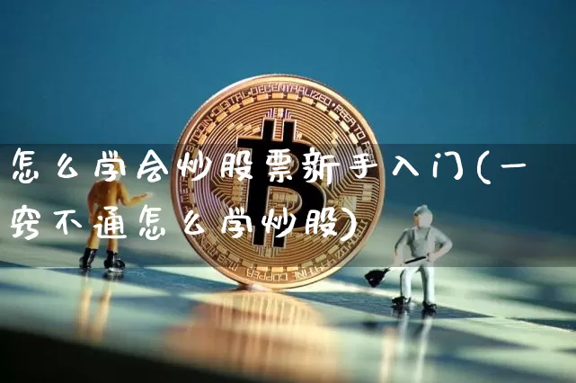 怎么学会炒股票新手入门(一窍不通怎么学炒股)_https://www.jyywjc.com_股票价格_第1张