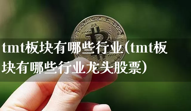 tmt板块有哪些行业(tmt板块有哪些行业龙头股票)_https://www.jyywjc.com_股票价格_第1张