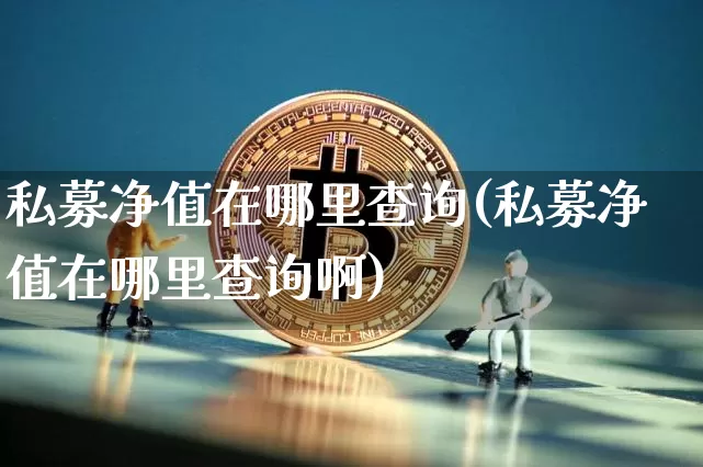 私募净值在哪里查询(私募净值在哪里查询啊)_https://www.jyywjc.com_股票趋势_第1张