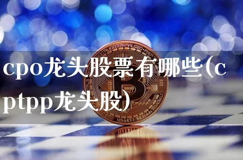 cpo龙头股票有哪些(cptpp龙头股)_https://www.jyywjc.com_科创板_第1张