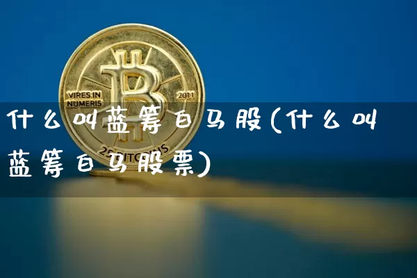 什么叫蓝筹白马股(什么叫蓝筹白马股票)_https://www.jyywjc.com_股票行情_第1张