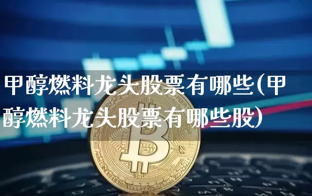 甲醇燃料龙头股票有哪些(甲醇燃料龙头股票有哪些股)_https://www.jyywjc.com_股票_第1张