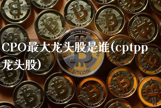 CPO最大龙头股是谁(cptpp龙头股)_https://www.jyywjc.com_上交所_第1张