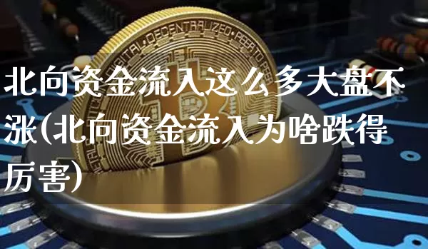 北向资金流入这么多大盘不涨(北向资金流入为啥跌得厉害)_https://www.jyywjc.com_股票_第1张