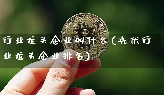 行业龙头企业叫什么(光伏行业龙头企业排名)_https://www.jyywjc.com_股票趋势_第1张