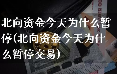 北向资金今天为什么暂停(北向资金今天为什么暂停交易)_https://www.jyywjc.com_股票价格_第1张