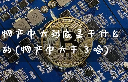 物产中大到底是干什么的(物产中大干了啥)_https://www.jyywjc.com_股票板块_第1张