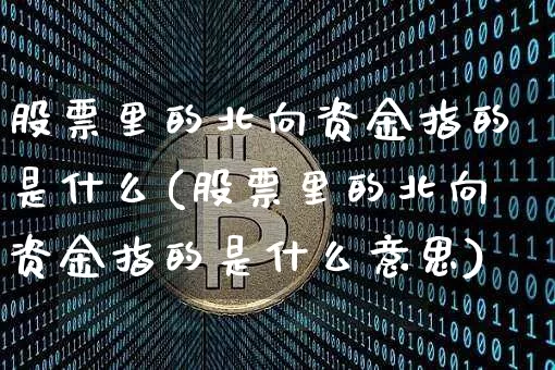 股票里的北向资金指的是什么(股票里的北向资金指的是什么意思)_https://www.jyywjc.com_股票价格_第1张