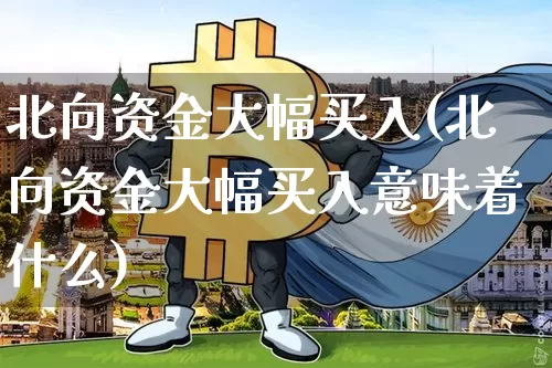 北向资金大幅买入(北向资金大幅买入意味着什么)_https://www.jyywjc.com_股票价格_第1张