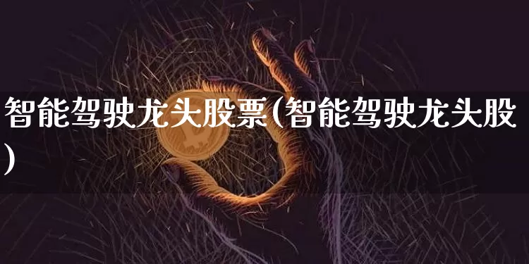 智能驾驶龙头股票(智能驾驶龙头股)_https://www.jyywjc.com_股票行情_第1张