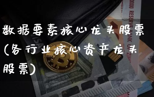 数据要素核心龙头股票(各行业核心资产龙头股票)_https://www.jyywjc.com_股票价格_第1张