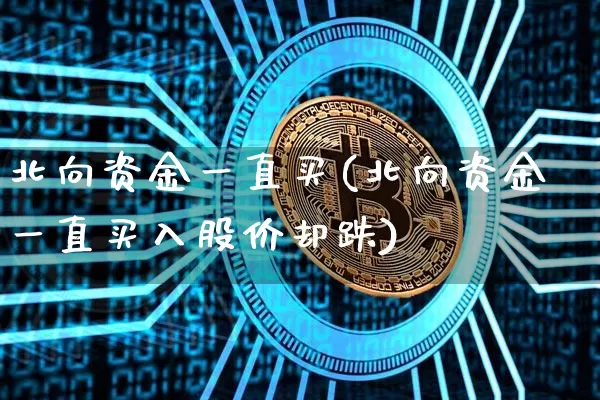 北向资金一直买(北向资金一直买入股价却跌)_https://www.jyywjc.com_股票_第1张