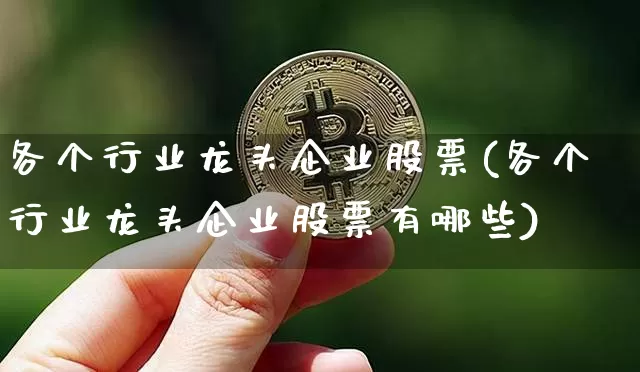 各个行业龙头企业股票(各个行业龙头企业股票有哪些)_https://www.jyywjc.com_股票趋势_第1张