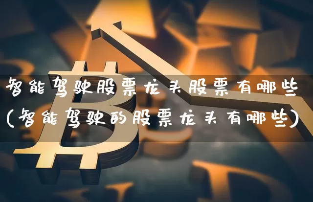 智能驾驶股票龙头股票有哪些(智能驾驶的股票龙头有哪些)_https://www.jyywjc.com_股票_第1张