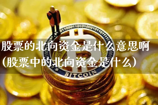股票的北向资金是什么意思啊(股票中的北向资金是什么)_https://www.jyywjc.com_股票_第1张