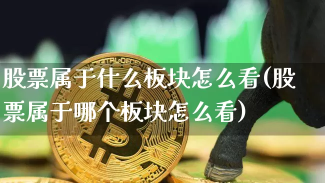 股票属于什么板块怎么看(股票属于哪个板块怎么看)_https://www.jyywjc.com_上交所_第1张