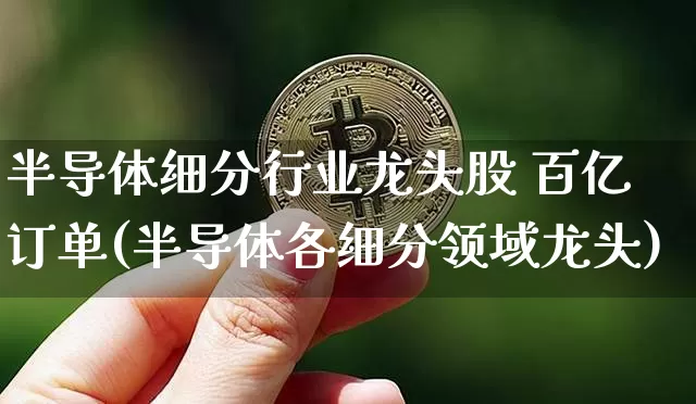 半导体细分行业龙头股 百亿订单(半导体各细分领域龙头)_https://www.jyywjc.com_股票价格_第1张