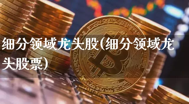 细分领域龙头股(细分领域龙头股票)_https://www.jyywjc.com_股票行情_第1张