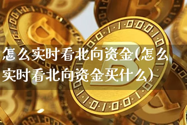怎么实时看北向资金(怎么实时看北向资金买什么)_https://www.jyywjc.com_股票板块_第1张