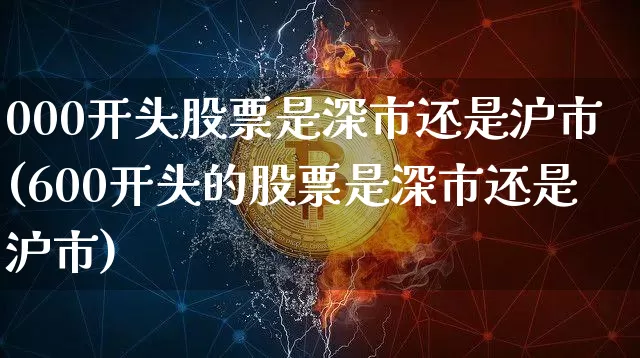 000开头股票是深市还是沪市(600开头的股票是深市还是沪市)_https://www.jyywjc.com_上交所_第1张