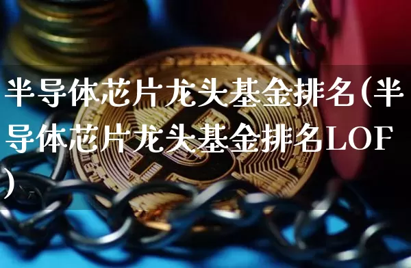半导体芯片龙头基金排名(半导体芯片龙头基金排名LOF)_https://www.jyywjc.com_股票行情_第1张