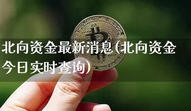 北向资金最新消息(北向资金今日实时查询)_https://www.jyywjc.com_股票板块_第1张