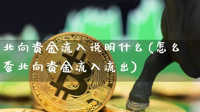 北向资金流入说明什么(怎么查北向资金流入流出)_https://www.jyywjc.com_股票_第1张
