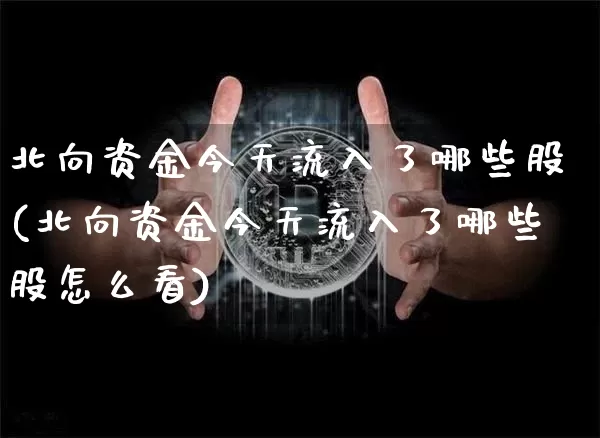 北向资金今天流入了哪些股(北向资金今天流入了哪些股怎么看)_https://www.jyywjc.com_股票行情_第1张