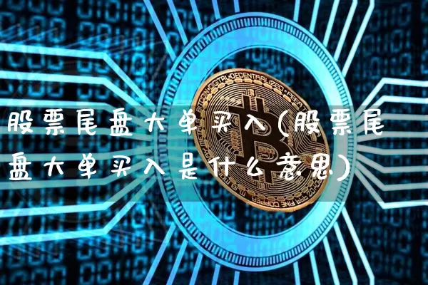 股票尾盘大单买入(股票尾盘大单买入是什么意思)_https://www.jyywjc.com_股票_第1张