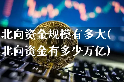 北向资金规模有多大(北向资金有多少万亿)_https://www.jyywjc.com_股票趋势_第1张