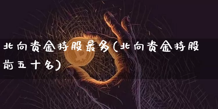 北向资金持股最多(北向资金持股前五十名)_https://www.jyywjc.com_股票价格_第1张