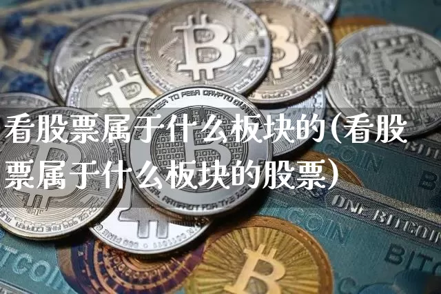 看股票属于什么板块的(看股票属于什么板块的股票)_https://www.jyywjc.com_创业板_第1张