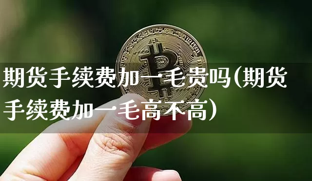 期货手续费加一毛贵吗(期货手续费加一毛高不高)_https://www.jyywjc.com_股票价格_第1张
