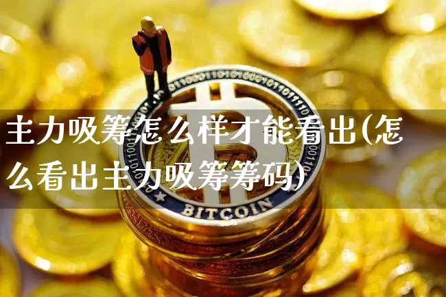 主力吸筹怎么样才能看出(怎么看出主力吸筹筹码)_https://www.jyywjc.com_股票_第1张