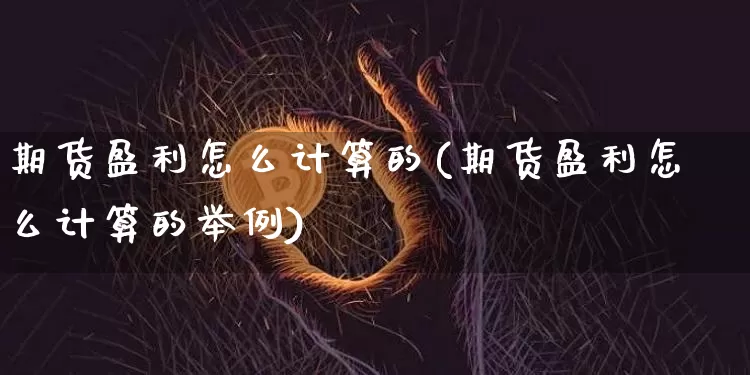 期货盈利怎么计算的(期货盈利怎么计算的举例)_https://www.jyywjc.com_股票_第1张