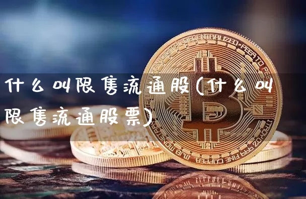 什么叫限售流通股(什么叫限售流通股票)_https://www.jyywjc.com_上交所_第1张