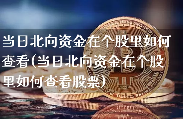 当日北向资金在个股里如何查看(当日北向资金在个股里如何查看股票)_https://www.jyywjc.com_股票价格_第1张
