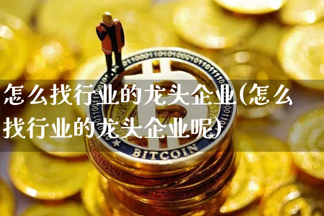 怎么找行业的龙头企业(怎么找行业的龙头企业呢)_https://www.jyywjc.com_股票板块_第1张