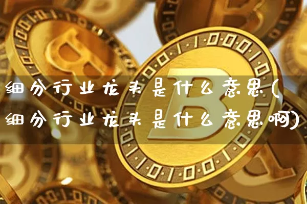 细分行业龙头是什么意思(细分行业龙头是什么意思啊)_https://www.jyywjc.com_股票价格_第1张