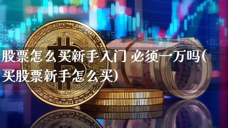 股票怎么买新手入门 必须一万吗(买股票新手怎么买)_https://www.jyywjc.com_股票价格_第1张