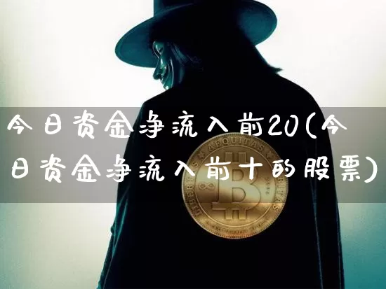 今日资金净流入前20(今日资金净流入前十的股票)_https://www.jyywjc.com_股票行情_第1张