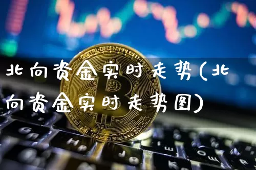 北向资金实时走势(北向资金实时走势图)_https://www.jyywjc.com_股票趋势_第1张