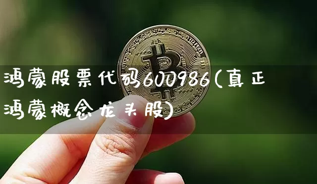 鸿蒙股票代码600986(真正鸿蒙概念龙头股)_https://www.jyywjc.com_深交所_第1张
